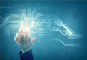 吳中區(qū)口碑佳、價格優(yōu)的系統開發(fā)與互聯網信息技術服務